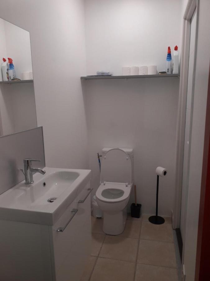 Dormir A Montauban Logements Carreyrat Calme Et Verdoyant Exterior foto